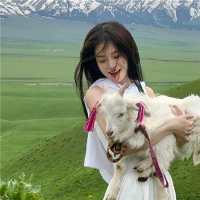 激情犯罪